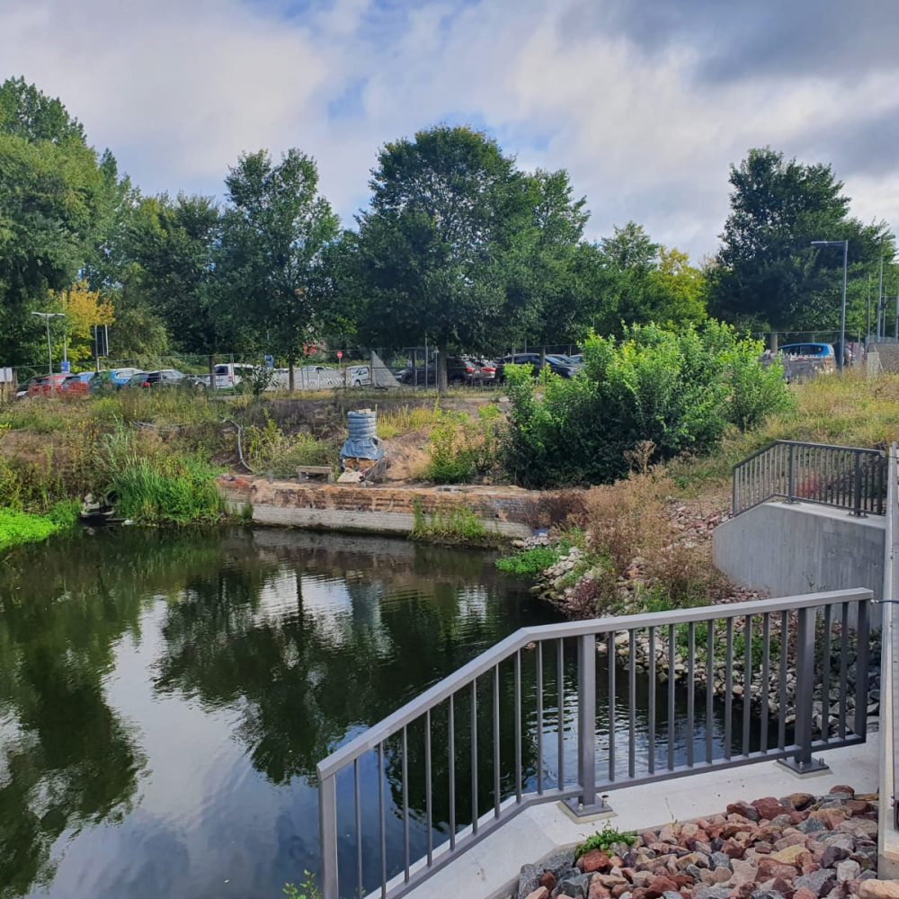 23-01-26_Buschwerk (1)